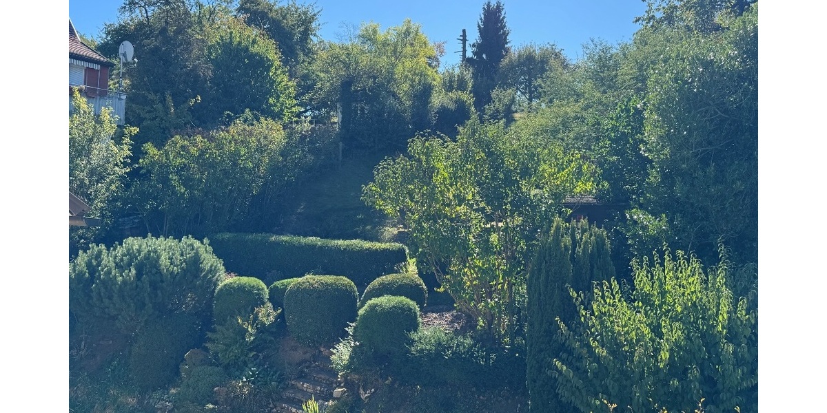 Blick vom-Balkon