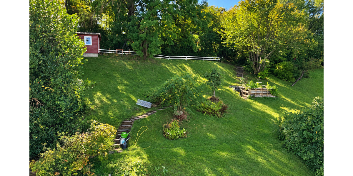 Blick in Garten