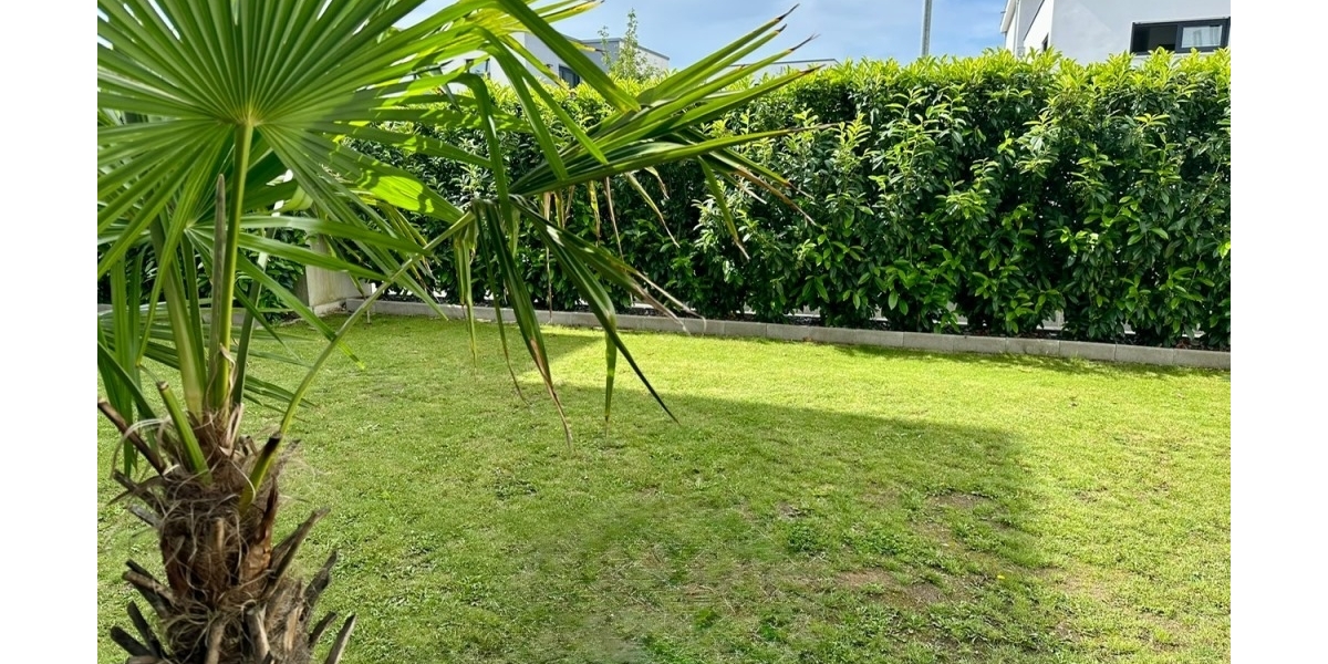Garten II