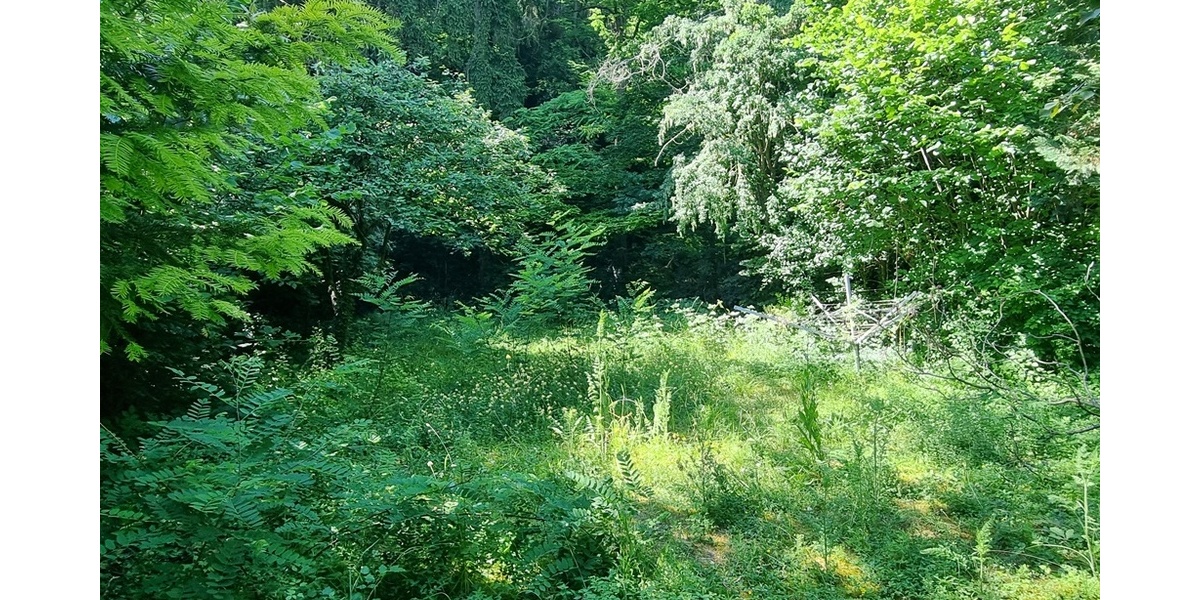 Garten II